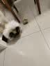 HELLOJOY猫玩具天然兔毛球猫薄荷丰容玩具小猫逗猫棒猫咪玩具自嗨解闷神器 实拍图