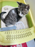 HELLOJOY猫砂铲猫咪铲屎神器猫盆猫屎铲子细小孔宠物猫沙器大号 实拍图