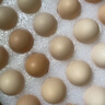 京鲜生【真散养】供港非笼养可生食鸡蛋30枚3.18斤 源头直发 实拍图