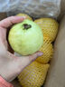 京鲜生 树熟软糯红心芭乐4粒装 单果130g+ 新鲜番石榴源头直发包邮 实拍图
