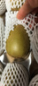 佳沛（zespri）新西兰 新果季 阳光金奇异果10粒巨大果单果146-175g 猕猴桃 晒单实拍图