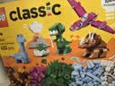 乐高（LEGO）积木11041 创意恐龙男女孩儿童玩具母亲节520礼物家居装饰摆件 实拍图