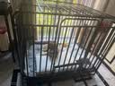 憨憨宠 狗笼 狗笼子中大型犬小型犬带厕所加粗加固金毛拉布拉多方管笼子 升级六面全方管125*95*105cm 120斤内适用 实拍图