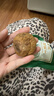西域美农土耳其大无花果干400g 整箱装 煲汤熬粥开袋即食 独立小包装 实拍图