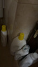 滴露（Dettol）衣物除菌液 柠檬1.5L 儿童可用衣物消毒液杀菌除螨可配洗衣液 实拍图