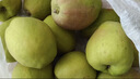 京鲜生 新疆库尔勒香梨 8斤装 稀缺 单果140g+ 生鲜水果 实拍图