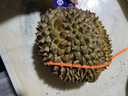 京鲜生 泰国进口金枕头鲜榴莲 3-4斤 1个装  新鲜水果 生鲜 实拍图