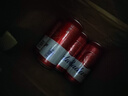 百威啤酒TOP淡色拉格450ml*18听整箱装京东自营新老包装混发踏春送礼 实拍图