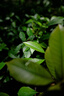 松下24-60mm F2.8全画幅微单相机标准变焦镜头（Panasonic）（S-E2460GK）L卡口 风景 肖像 特写 实拍图