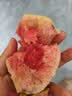 探味君 广西红心芭乐番石榴 新鲜水果生鲜健康轻食带箱 软糯红白双拼芭乐净重5斤 实拍图
