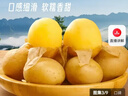 京鲜生恩施小土豆净重5斤 单果60g+ 新鲜黄心土豆 马铃薯 源头直发 实拍图