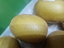 佳沛（zespri）新西兰 新果季 阳光金奇异果16粒礼盒经典果单果 88-103g  猕猴桃 实拍图
