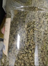 贡苑原味荷叶茶520g荷叶颗粒纯荷叶无添加泡水喝的花草茶搭决明子罐装 实拍图