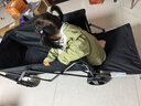 京东京造 聚拢型户外露营车PRO折叠小推车营地车野餐摆摊双刹后开门拖车 实拍图