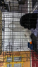宠乐乖（CHONGLEGUAI）狗笼猫笼狗笼子中小型犬带厕所幼犬折叠便携猫笼子猫咪兔笼700ZG 实拍图