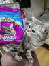 伟嘉猫粮 宠物成猫粮海洋鱼味300g单包尝鲜装 实拍图