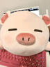 名创优品（MINISO）小猪B-BO翅膀款趴毛绒公仔玩具玩偶抱枕娃娃靠枕生日礼物女 实拍图