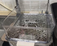 小熊（Bear）电蒸锅 24L三层大容量外置水箱 家用多功能电蒸箱 不锈钢蒸片多用途蒸包子锅DZG-CB3P2 实拍图
