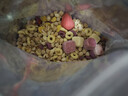 西麦酸奶块果粒燕麦脆350g 水果燕麦片营养早餐五谷代餐干吃休闲零食 实拍图