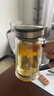 希诺双层玻璃杯带把手高档泡茶杯子男家用办公透明水杯XN-9005 420mL 实拍图