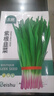 北蔬 紫根韭菜籽种子苗独根红宽叶蔬菜种籽 紫根韭菜种子10g约1800粒 实拍图