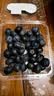 京鲜生 云南高原阳光蓝莓 4盒超大果18mm+ 100g/盒 生鲜水果 源头直发 实拍图