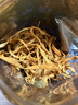 金唐有机蛹虫草200g 金孢子头虫草花山珍菌菇干货炖汤火锅食材50g*4袋 实拍图