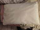 京东京造 经典荞荞枕 100%荞麦壳填充透气高度可调花草枕头枕芯单只装 实拍图