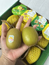 佳沛（zespri）新西兰 新果季 阳光金奇异果12粒特大果单果124-146g 猕猴桃 实拍图