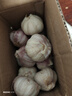 紫白皮蒜水果大蒜超市即食生鲜蔬菜大蒜 【优选】净重0.8斤 单果3.5-5cm 实拍图