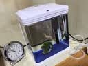 SICCE鱼缸懒人鱼缸家用客厅办公室金鱼缸中小型玻璃鱼缸过滤鱼缸 T-240F【240*165*280】 实拍图
