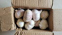 紫白皮蒜水果大蒜超市即食生鲜蔬菜大蒜 【优选】净重0.8斤 单果3.5-5cm 实拍图
