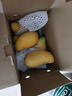 京鲜生  海南金煌芒果 5斤礼盒装 单果约400g 新鲜水果 实拍图
