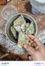 吉娜朵鲜活法国进口活体生蚝12只N0/N1/N4 生鲜牡蛎 即食刺身 源头直发 12N4 实拍图
