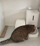 米家宠物智能喂食器2可视版+宠物智能饮水机2组合套装小米猫咪狗狗 实拍图