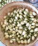 优卓胖东来同款茉莉花干花2026特一级新茶横县特级浓香型花茶理气安神 【特优级茉莉花】饱满花苞 100g*5罐 舒缓情绪辅助提神醒脑 实拍图