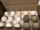 牧族 可生食新鲜鸡蛋 NSF认证 无抗生素 无菌蛋单枚50g 可生食30枚 实拍图