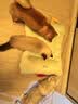 乐优派夏季猫窝四季通用狗窝空调窝宠物窝凉感猫咪垫子可拆洗冰豆豆窝-L 实拍图