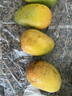 京鲜生 海南大台农芒果 3斤装 单果150g起 新鲜水果 实拍图