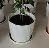 九千谷花盆欧式创意三色混装大号3个装花卉绿植加厚塑料花盆带托盘4252 实拍图