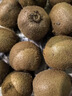 佳沛（zespri）新西兰 新果季 阳光金奇异果10粒巨大果单果146-175g 猕猴桃 实拍图