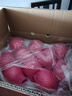 京鲜生 烟台红富士苹果 净重10斤 单果220g以上 礼盒装 生鲜水果 实拍图