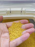 沁州黄小米5斤吸嘴袋收纳装 营养早餐 五谷杂粮粥料小米粥 小米饭 实拍图