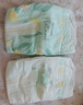 好奇（Huggies）小森林纸尿裤NB30(5kg以下)尿不湿心钻【透氧顶配更0痕】 实拍图
