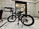 凤凰（Phoenix） 凤凰自行车可折叠山地车路虎男士成年人变速女式越野公路单车 条轮消灰/折叠双避震/全竞速轴承 26寸24速【参考：158-188cm】 实拍图
