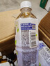 三得利【新品上市】清新柔和 枇杷花白茶 0糖0脂0能量 500ml*15 实拍图
