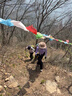 探险者（TAN XIAN ZHE）登山杖碳纤维徒步登山杖折叠专业户外登山杖伸缩超轻徒步装备拐棍 便携2只装-铝合金折叠靓丽黄 实拍图