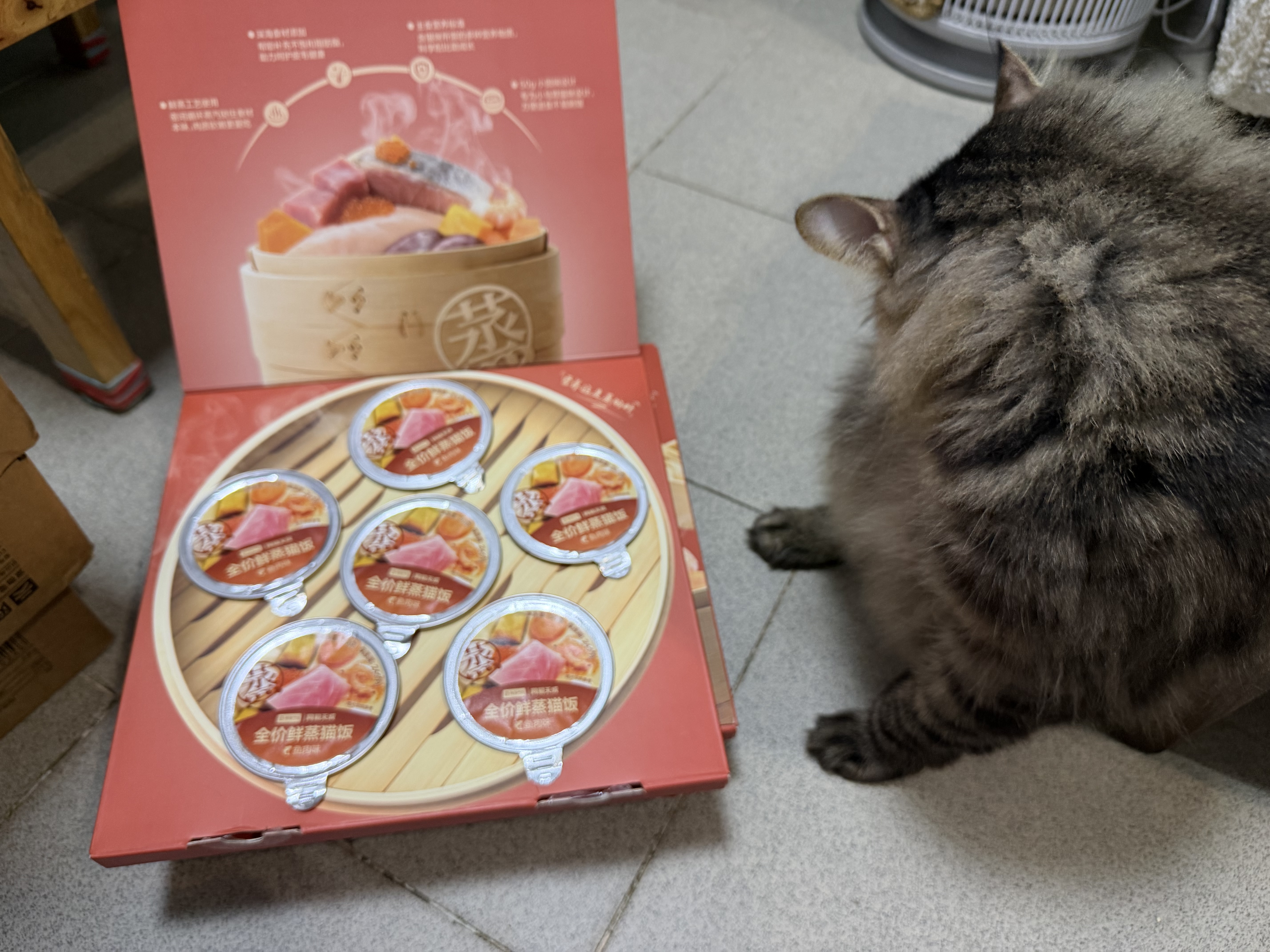 网易严选全价鲜蒸猫饭猫湿粮罐头主食级餐盒成猫幼猫通用鱼肉口味50g*12罐 实拍图