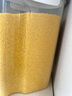 古越龙山 库藏金五年 半干型 绍兴黄酒 600ml*6瓶 整箱装 无焦糖色 实拍图