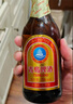 青岛啤酒（TsingTao）精酿系列 金质小棕金低温酿造296ml*6瓶踏春送礼 实拍图